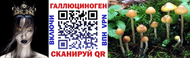 площадка Telegram  Бугульма  Галлюциногенные грибы MAGIC MUSHROOMS 