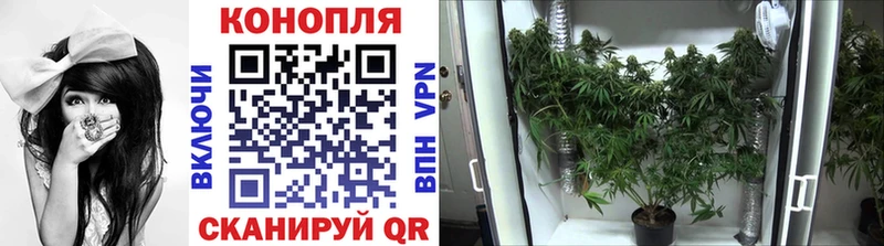 Канабис VHQ  где купить наркотик  Бугульма 